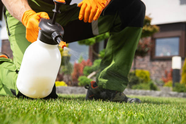 Best Residential Pest Control  in Mcgovern, PA
