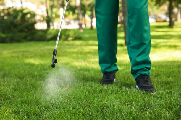 Best Pest Control Near Me in Mcgovern, PA