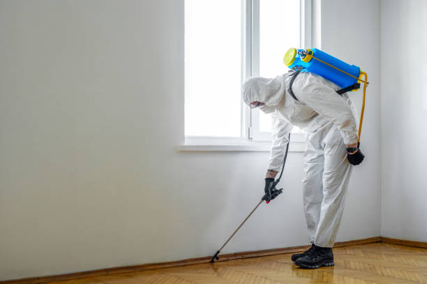 Flea Control Services in Mcgovern, PA