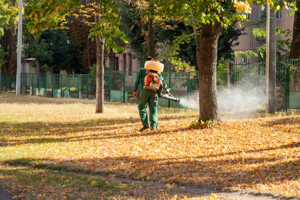 Best Cockroach Control Services  in Mcgovern, PA