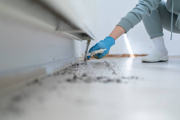 Best Pest Prevention Services  in Mcgovern, PA