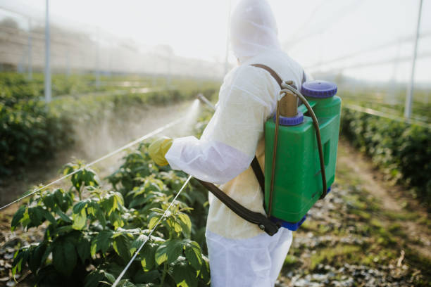 Best Flea Control Services  in Mcgovern, PA
